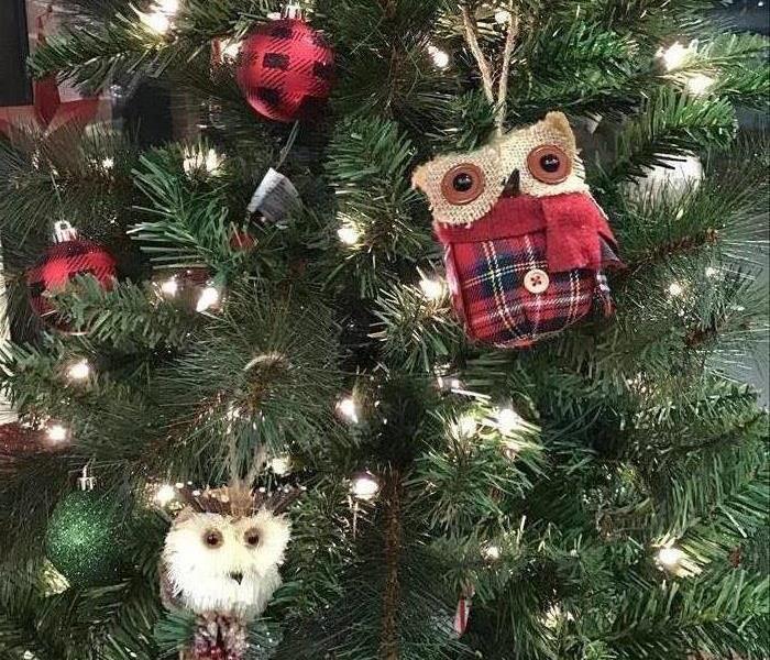 closeup of colored and owl ornaments on a Christmas tree