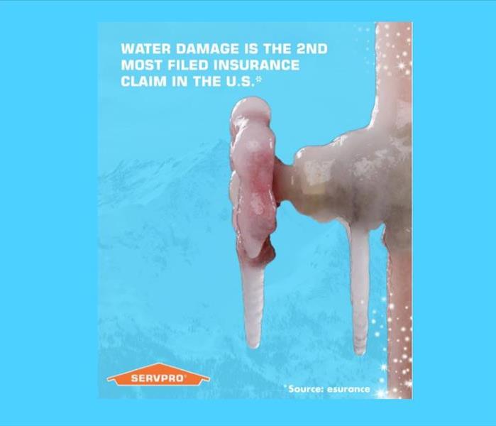 picture of a frozen faucet with a blue mountains in the background, SERVPRO logo and text regarding water damage statistics.