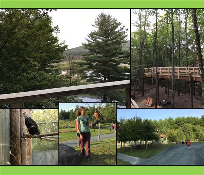 Collage of pictures of birds, staff , guests and Forest Canopy Walk at the Vermont Institute of Natural Science